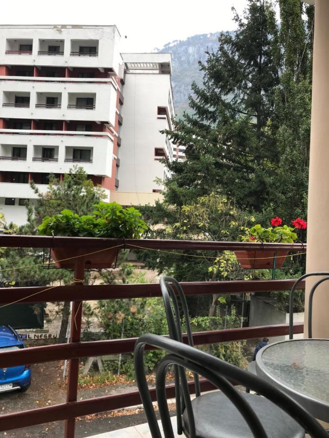Pinul Negru 2 Hotel Băile Herculane Exterior foto