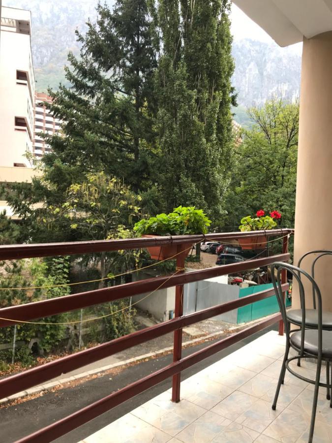 Pinul Negru 2 Hotel Băile Herculane Exterior foto