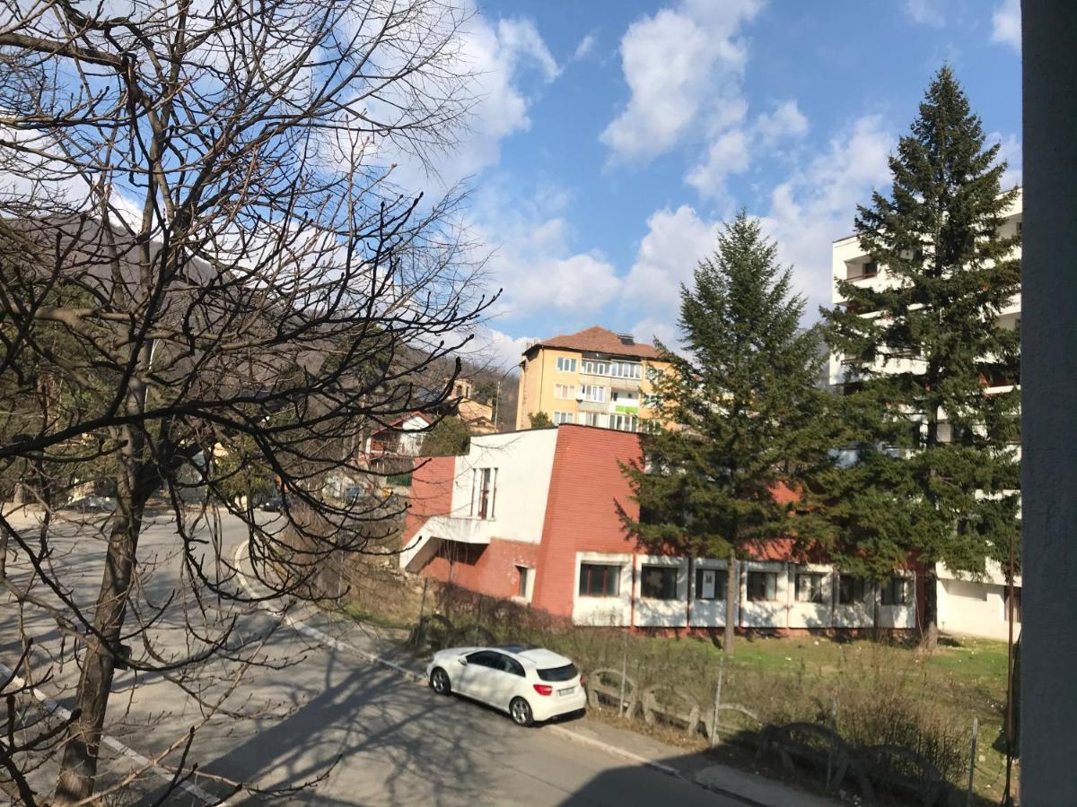Pinul Negru 2 Hotel Băile Herculane Exterior foto