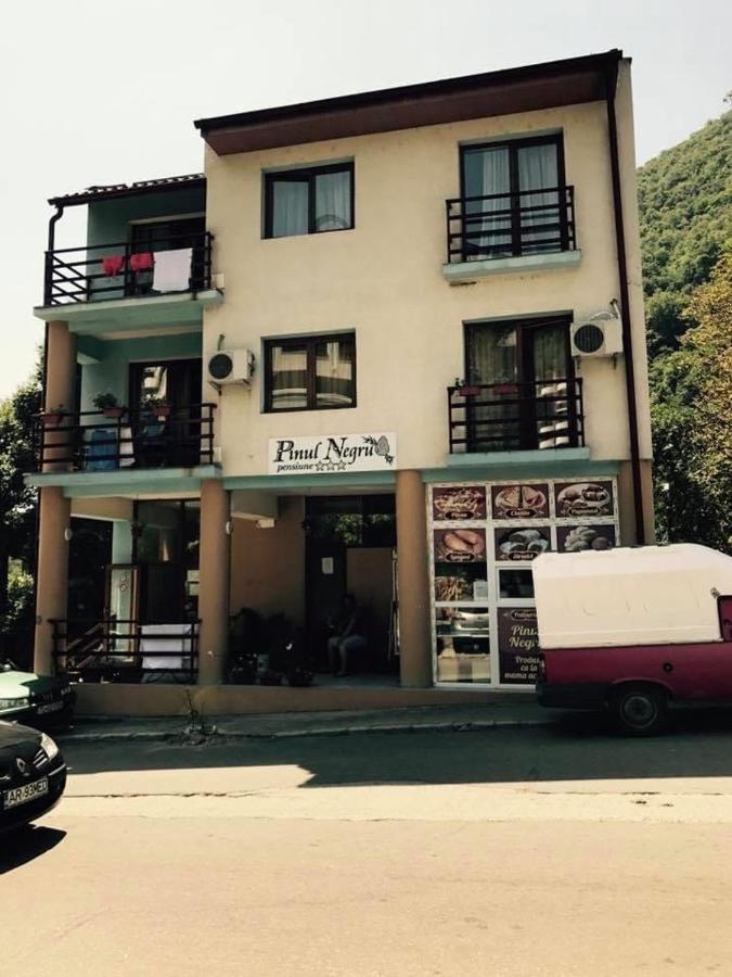 Pinul Negru 2 Hotel Băile Herculane Exterior foto