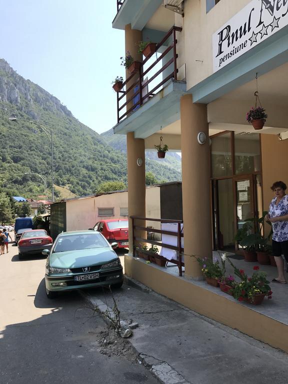 Pinul Negru 2 Hotel Băile Herculane Exterior foto